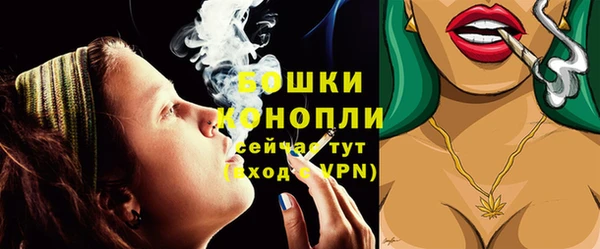 дурь Богородицк