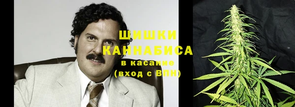 дурь Богородицк