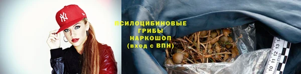 дурь Богородицк