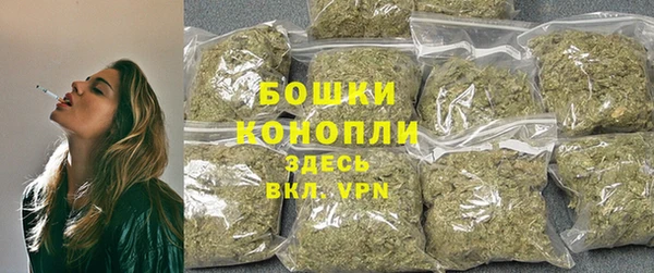 дурь Богородицк